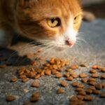 Mon chat vomit sa nourriture non digérée : comprendre les causes et agir vite