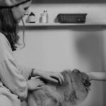 Comment savoir si ma chienne est enceinte : les signes à connaître