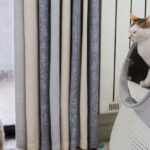 Mon chat fait pipi par terre toujours au même endroit : causes et solutions