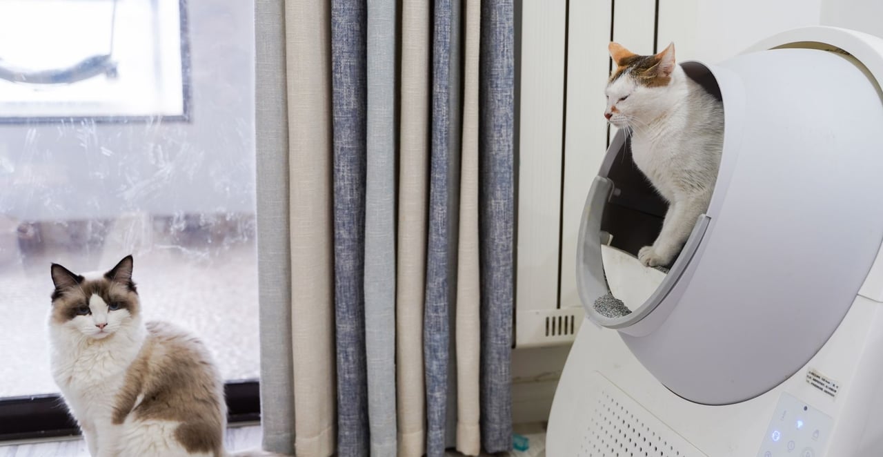 You are currently viewing Mon chat fait pipi par terre toujours au même endroit : causes et solutions