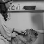 Quel est le meilleur médicament pour l&rsquo;arthrose du chien ?