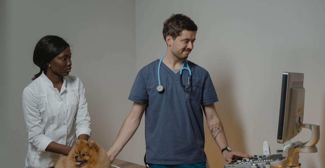 You are currently viewing Chien qui fait des gouttes de sang : causes et que faire